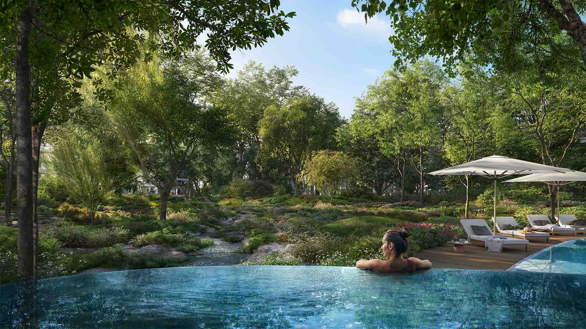 Forest Pools
