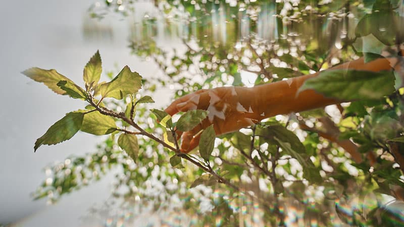 Small nature view