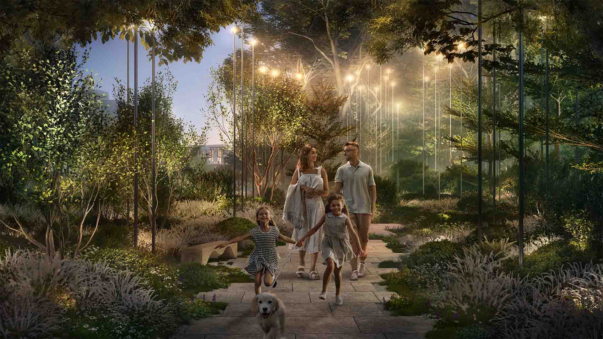 Enchanted Forest